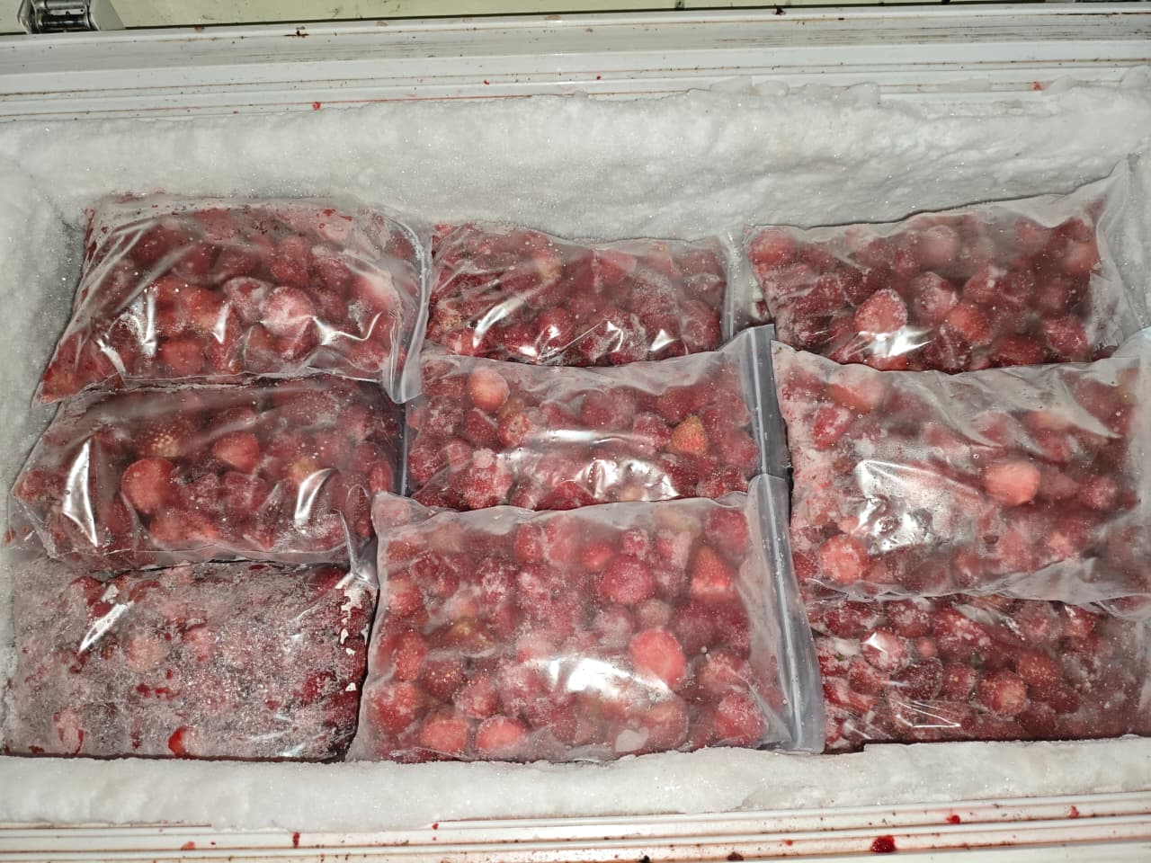 Strawberry Frozen